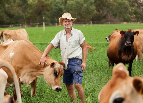 Dairymans Cottage - Kingaroy Accommodation 3