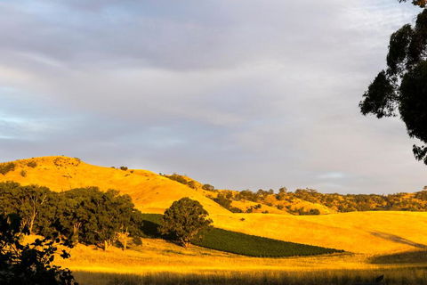 Dairymans Cottage - Kingaroy Accommodation 6