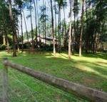 Fernglade on Menzies - Kingaroy Accommodation