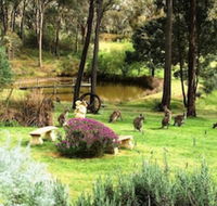 Countryside Connections Tranquil Studio - Kingaroy Accommodation