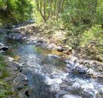 Tallaringa Views - Kingaroy Accommodation