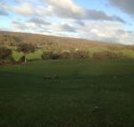 Mancuso Country Cottage Retreat - Kingaroy Accommodation