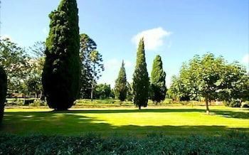 Glenellen Bed And Breakfast - Kingaroy Accommodation 2