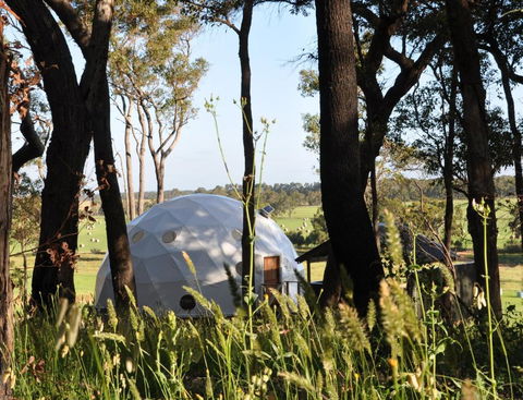 Mile End Glamping Pty Ltd - Kingaroy Accommodation 2