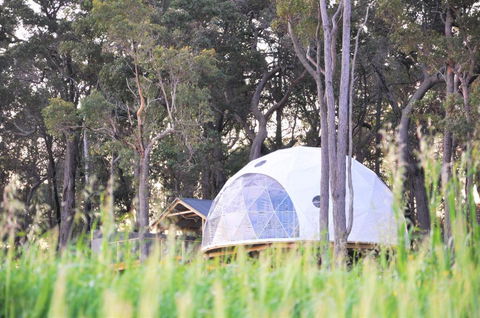 Mile End Glamping Pty Ltd - Kingaroy Accommodation 1