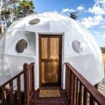 Mile End Glamping Pty Ltd - Kingaroy Accommodation 0
