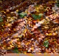 Pizza D'oh - Kingaroy Accommodation