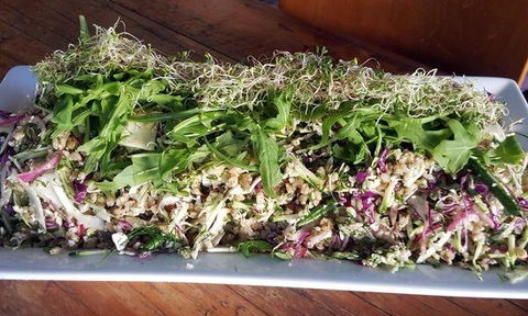 Top Pub Bistro - Kingaroy Accommodation 4