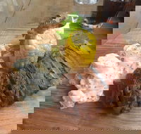 The Windy Mile - Kingaroy Accommodation