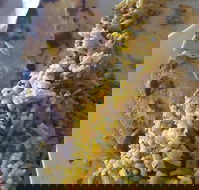 Horsham Masala Indian Restaurant - Kingaroy Accommodation