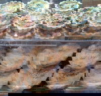 Red Fox Coffee Lounge - Kingaroy Accommodation