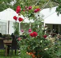 Sturt Coffee - Kingaroy Accommodation