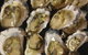 Armstrongs Oysters - thumb 0
