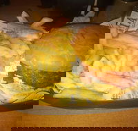 Finn  Co Cafe - Kingaroy Accommodation