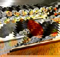 Freewave Sushi  Burgers - Kingaroy Accommodation