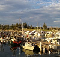 Horse  Camel - Kingaroy Accommodation