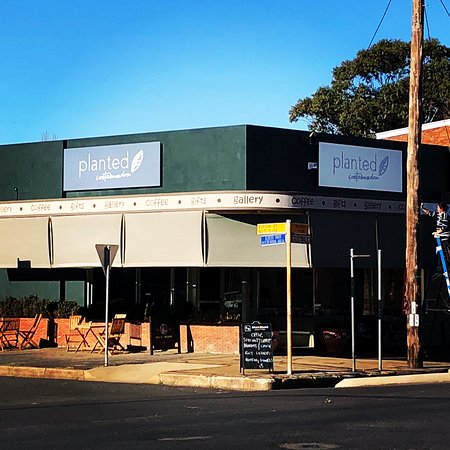 Planted Cootamundra - Kingaroy Accommodation 0