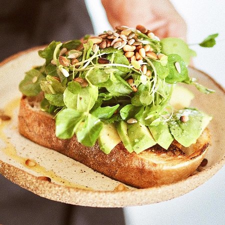 Punch And Daisy - Kingaroy Accommodation 0