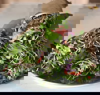 Santos Organics Mullumbimby - Kingaroy Accommodation