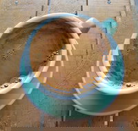 The Branches Coffee Roasters - Kingaroy Accommodation