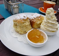 Mogo ice creamery and cafe - Kingaroy Accommodation