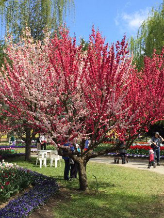 Ngunnawal ACT Kingaroy Accommodation