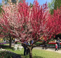 Mirchi Indian Cuisine - Kingaroy Accommodation