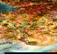 Al Pesto - Kingaroy Accommodation