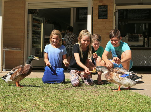 Arkarra Gardens Cafe And Restaurant - Kingaroy Accommodation 2