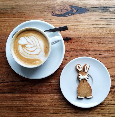 Little Green Corner - Kingaroy Accommodation 2