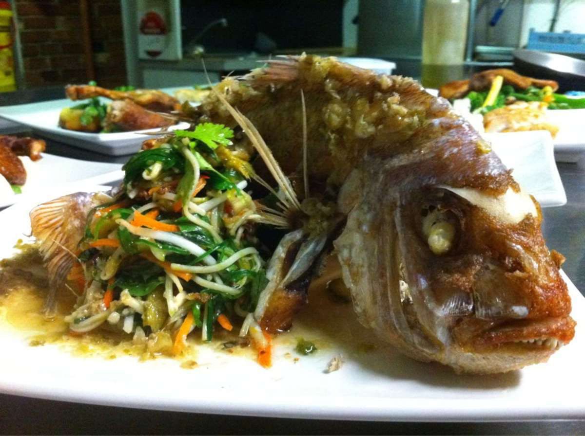  Kingaroy Accommodation