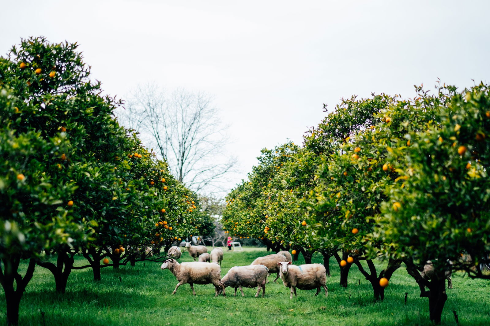 Kingaroy Accommodation