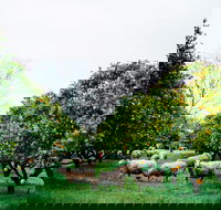 Cambray Cheese Farm Shop - Kingaroy Accommodation