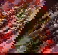 Cantina On Capri - Kingaroy Accommodation