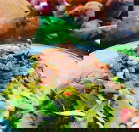 Salad Bar - Surry Hills - Kingaroy Accommodation