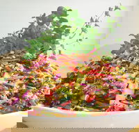 Sublime Cafe - Kingaroy Accommodation