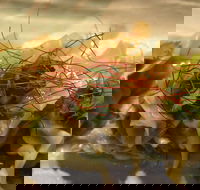 Tarana Indian Restaurant - Kingaroy Accommodation