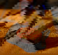 Hell of the North - Kingaroy Accommodation