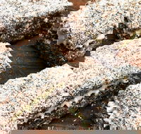 Infinity Bakery - Paddington - Kingaroy Accommodation