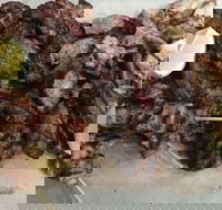 Pita Wrap It - Kingaroy Accommodation