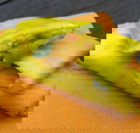 House Of Canton - Kingaroy Accommodation