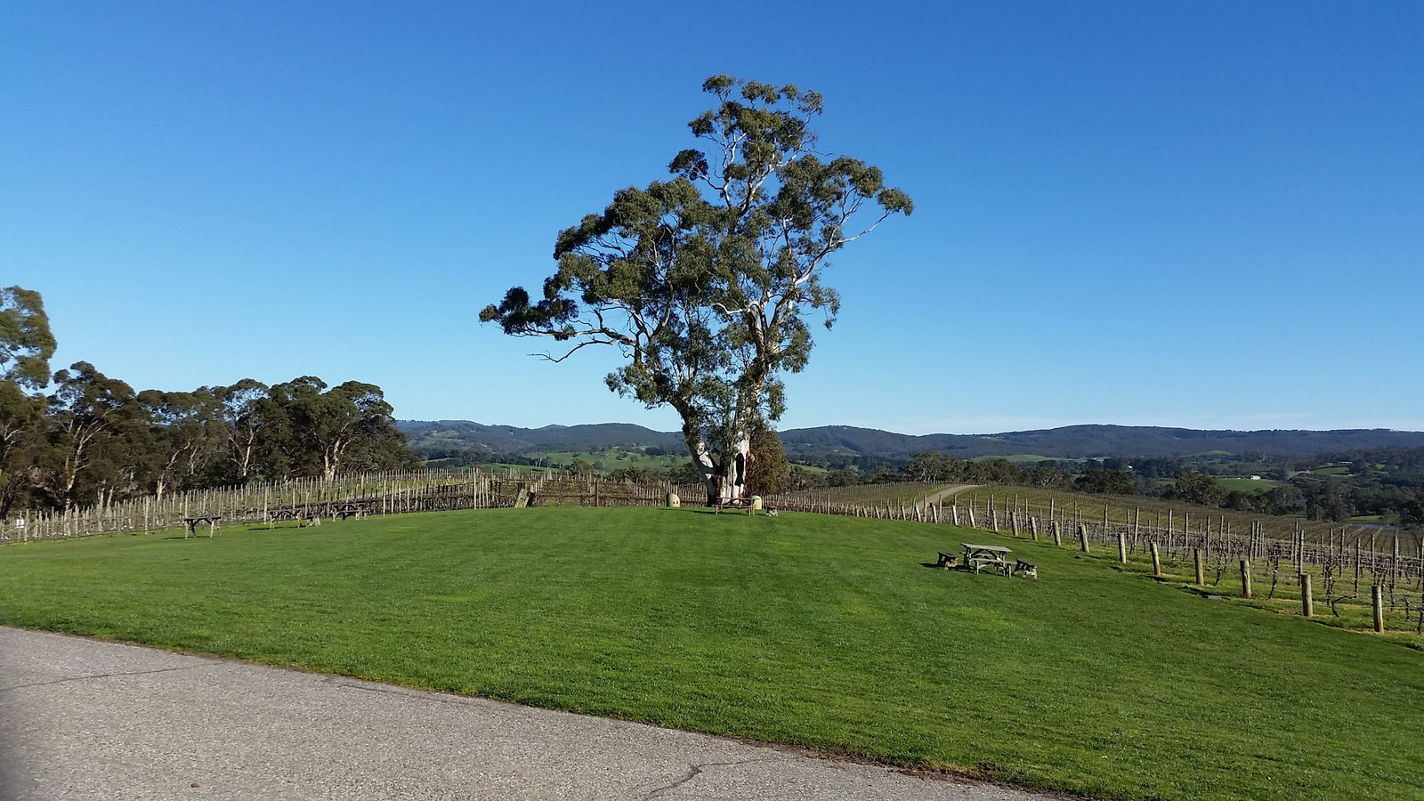 Kingaroy Accommodation