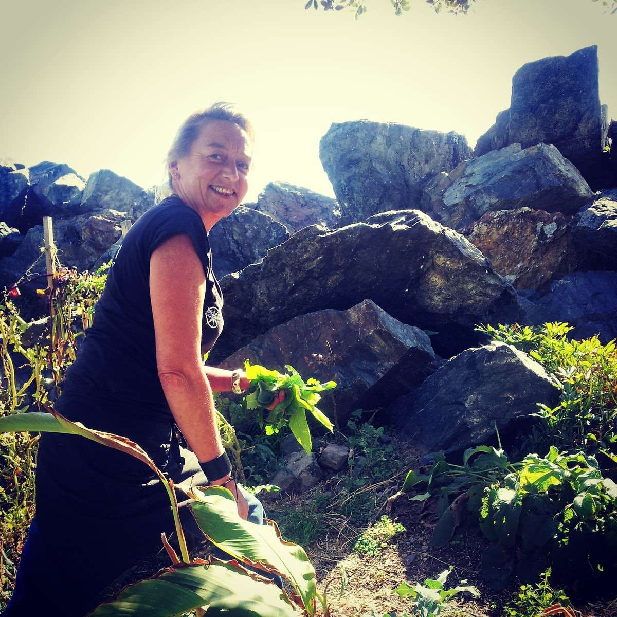 Central Bucca NSW Kingaroy Accommodation