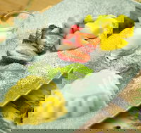 Clarendon Melbourne - Kingaroy Accommodation