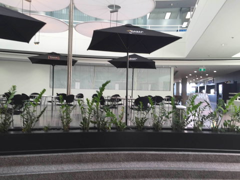 D Cafe - Kingaroy Accommodation 0