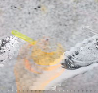 Spice Cottage - Kingaroy Accommodation