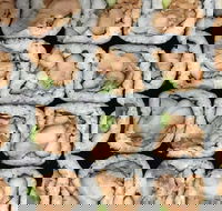 Sushi Pia - Kingaroy Accommodation