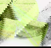 Furuta Dessert House - Glen Waverley - Kingaroy Accommodation