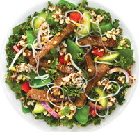 Sumo Salad - Glebe - Kingaroy Accommodation