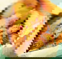 Mrs. Fields - Baldivis - Kingaroy Accommodation